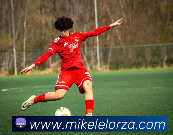 星空体育全站服务体系